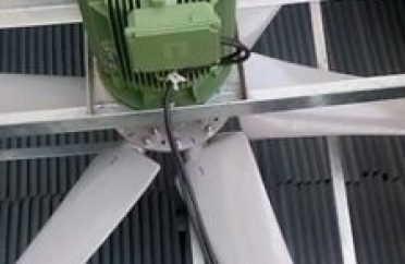 WhatsApp Image 2025-10-18 at 17.10.50_abc4e504